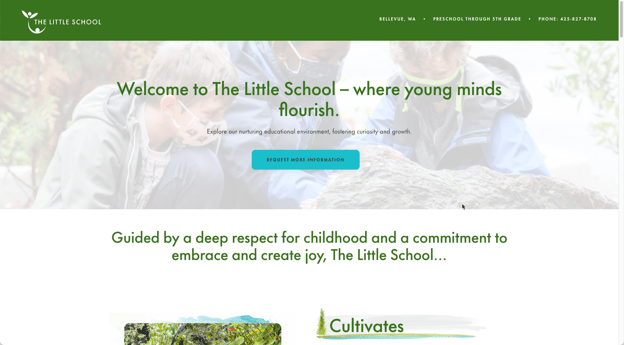 An effective and compelling landing page for a private school that speaks to the parent's goals with an emotional appeal. 